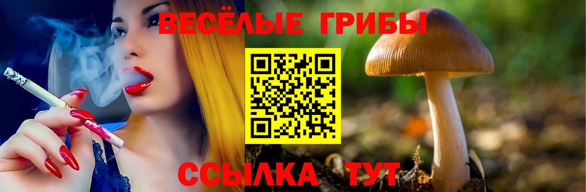 Галлюциногенные грибы ЛСД Партизанск